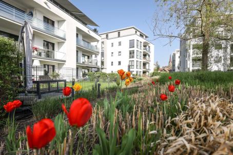 Attraktive Eigentumswohnungen im SeeVillenPark Radolfzell am Bodensee. 